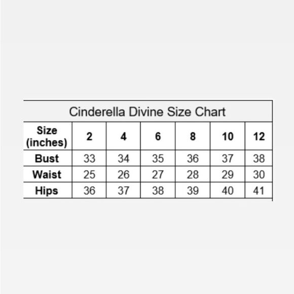 Red Rose Embroidered Lace Mermaid Gown by Cinderella Divine Size 6 - Picture 7 of 14